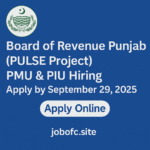 Board-of-Revenue-Punjab-PULSE-Project-PMU-PIU-Hiring-Apply-by-September-29-2025-.png
