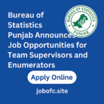 Bureau of Statistics Punjab Announces Job Opportunities for Team Supervisors and Enumerators